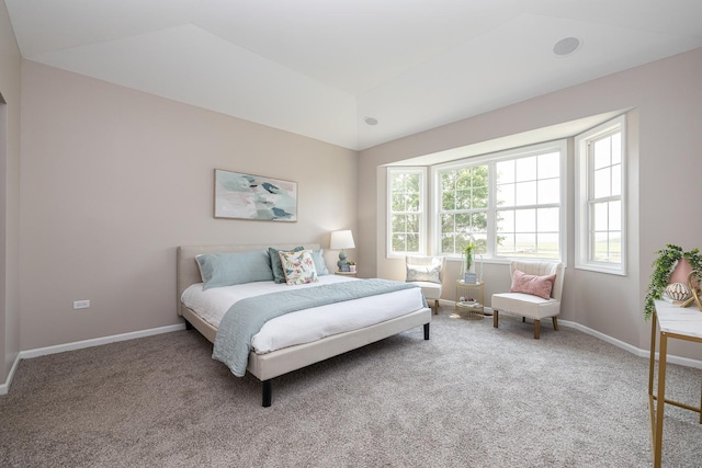 26615 W Captiva Ln, Plainfield, IL 60544 - bedroom featuring carpet floors, vaulted ceiling, and baseboards