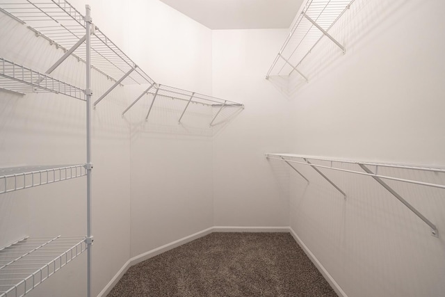 26615 W Captiva Ln, Plainfield, IL 60544 - walk in closet featuring carpet floors