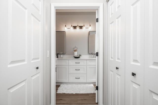 26615 W Captiva Ln, Plainfield, IL 60544 - full bathroom with a closet, double vanity, and wood finished floors