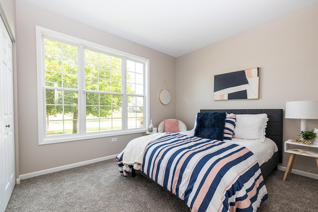 26615 W Captiva Ln, Plainfield, IL 60544 - bedroom featuring carpet floors, baseboards, and a closet