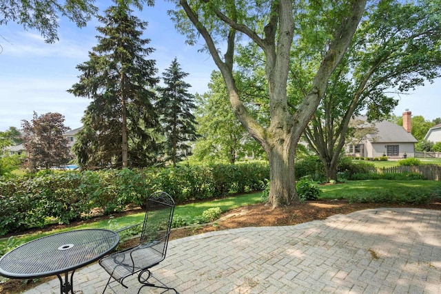 2731 Wolf River Ct, Naperville, IL 60565 - view of patio