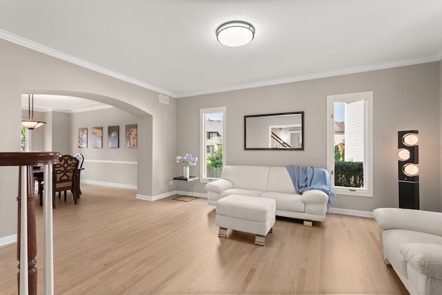 2731 Wolf River Ct, Naperville, IL 60565 - living room featuring arched walkways, light wood-style flooring, baseboards, ornamental molding, and plenty of natural light