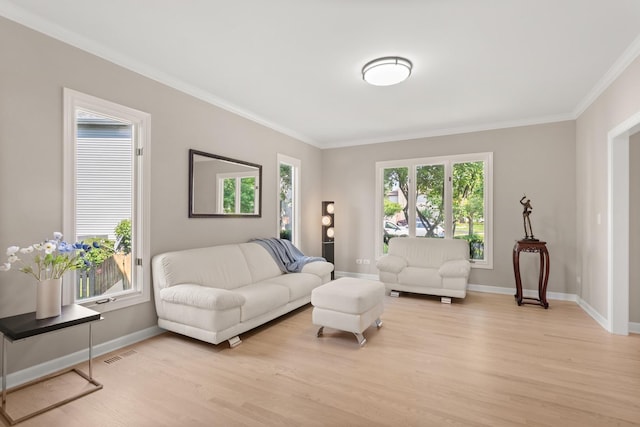 2731 Wolf River Ct, Naperville, IL 60565 - living area with light wood-style floors, crown molding, and baseboards