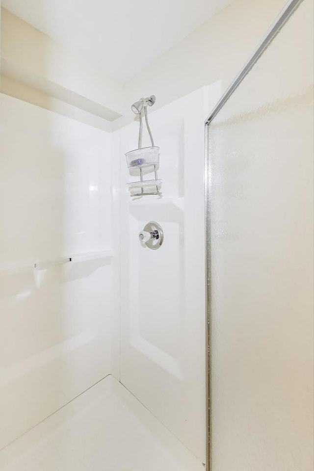 14828 W N Creek Ct, Homer Glen, IL 60491 - bathroom with a shower stall