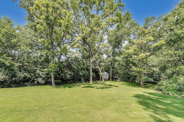 14828 W N Creek Ct, Homer Glen, IL 60491 - view of green lawn