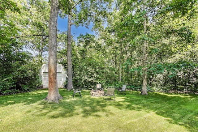14828 W N Creek Ct, Homer Glen, IL 60491 - view of green lawn with a fire pit and a storage shed