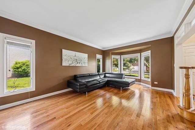 4332 Camelot Cir, Naperville, IL 60564 - living room featuring baseboards, light wood-type flooring, plenty of natural light, and crown molding