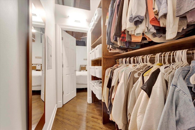 616 W Fulton St Unit 212, Chicago, IL 60661 - spacious closet with wood finished floors