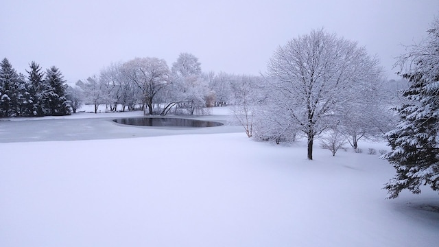 10N872 Williamsburg Dr, Elgin, IL 60124 - yard covered in snow with view of scattered trees