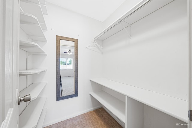 spacious closet featuring carpet flooring