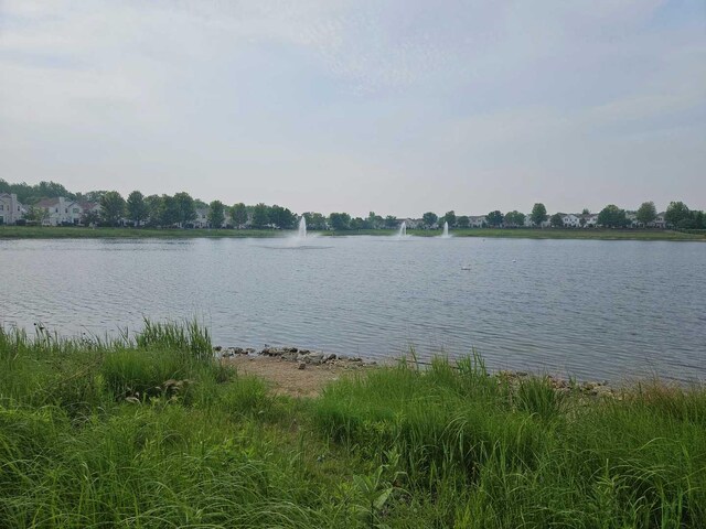 1505 Silverstone Dr Unit 1505, Carpentersville, IL 60110 - water view