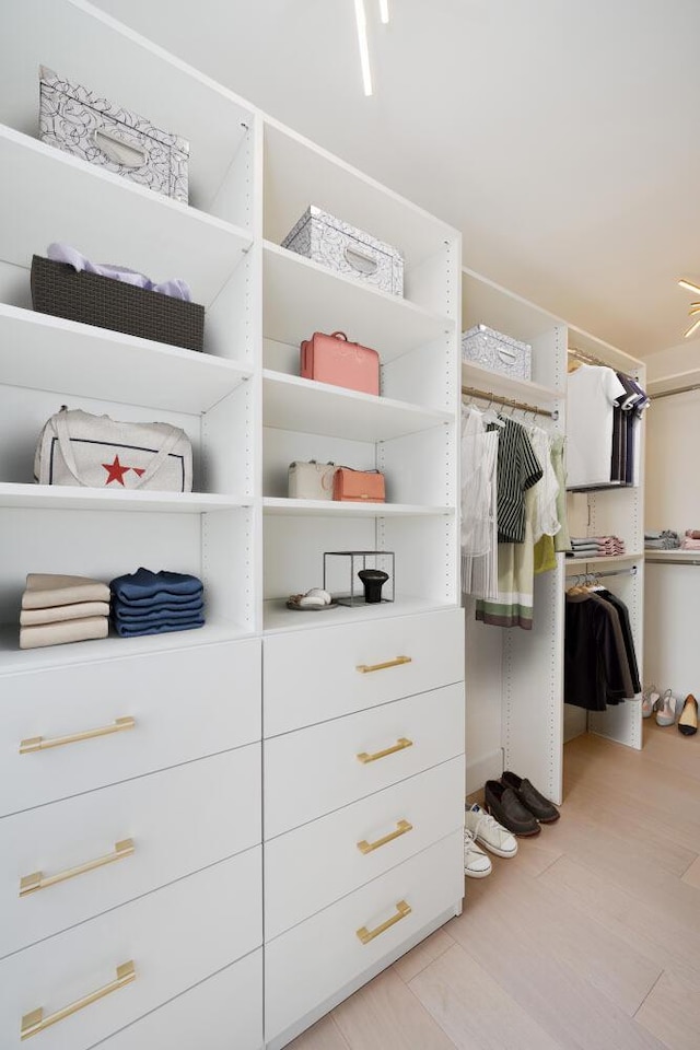 111 E Chestnut St Unit 40C, Chicago, IL 60611 - walk in closet with light wood-type flooring