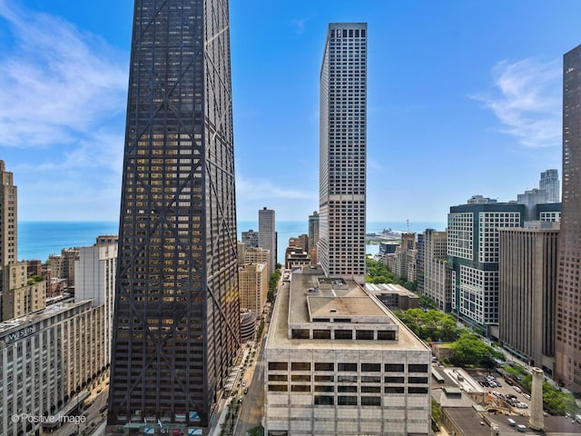 111 E Chestnut St Unit 40C, Chicago, IL 60611 - city view with a large body of water