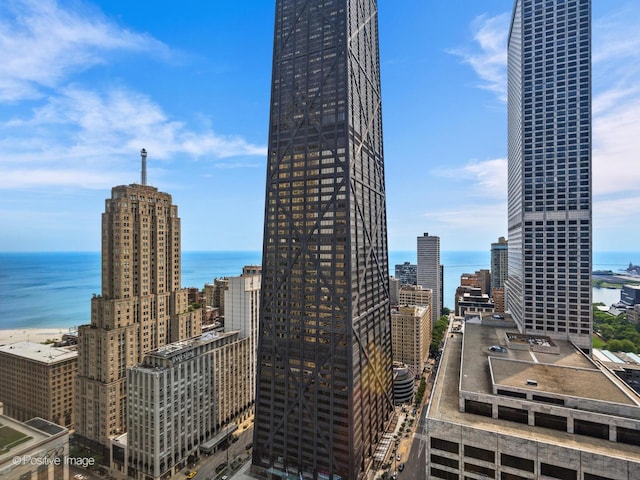 111 E Chestnut St Unit 40C, Chicago, IL 60611 - city view featuring a large body of water