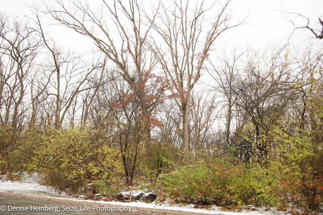 911 Echo Trl, Marengo, IL 60152