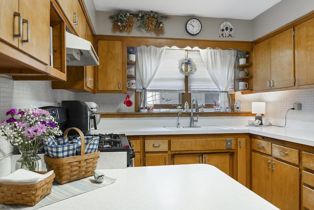 931 Sunset Rd, Wheaton, IL 60189 - kitchen featuring a sink, open shelves, light countertops, and backsplash