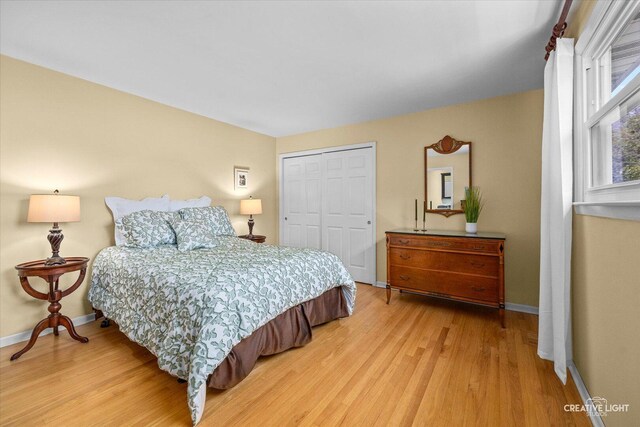 1903 Brentwood Ln, Wheaton, IL 60189 - bedroom with a closet and light wood-type flooring