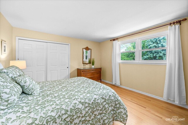 1903 Brentwood Ln, Wheaton, IL 60189 - bedroom with light wood-style flooring and a closet