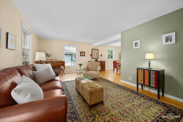 1903 Brentwood Ln, Wheaton, IL 60189 - living room featuring wood finished floors and baseboards