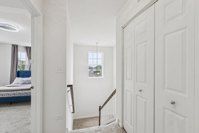 1911 Continental Ave, Naperville, IL 60563 - photo 21