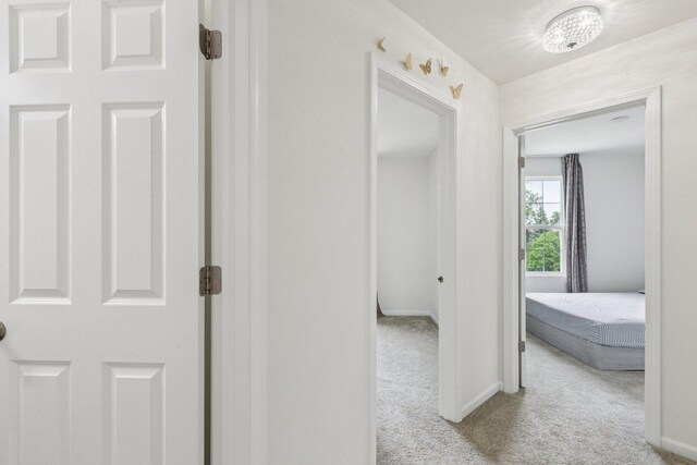 1911 Continental Ave, Naperville, IL 60563 - photo 30