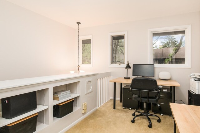 1023 Rene Ct, Park Ridge, IL 60068 - carpeted office with baseboards