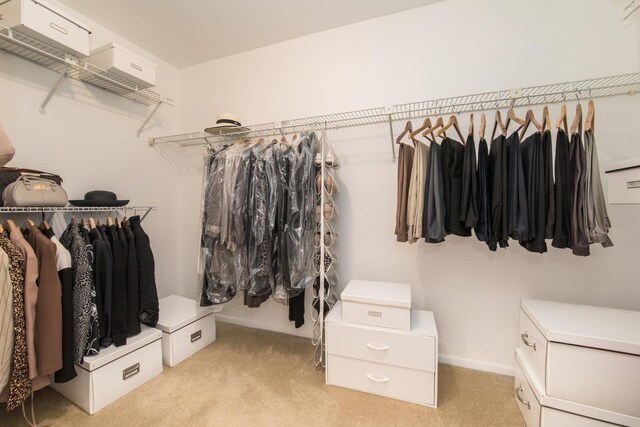 1023 Rene Ct, Park Ridge, IL 60068 - walk in closet with light colored carpet