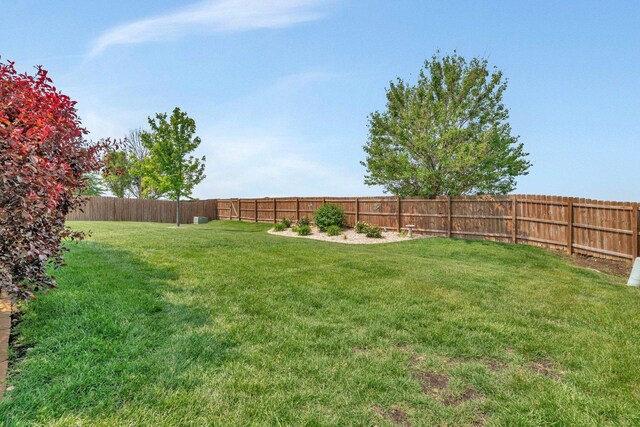 2825 Centurion Ln, New Lenox, IL 60451 - view of yard