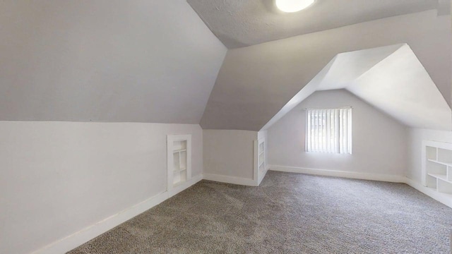 418 S Main St, Rankin, IL 60960 - additional living space with carpet and vaulted ceiling