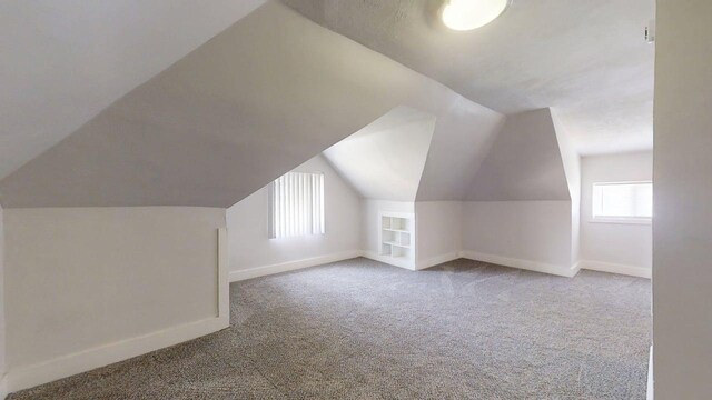 418 S Main St, Rankin, IL 60960 - bonus room featuring carpet and vaulted ceiling