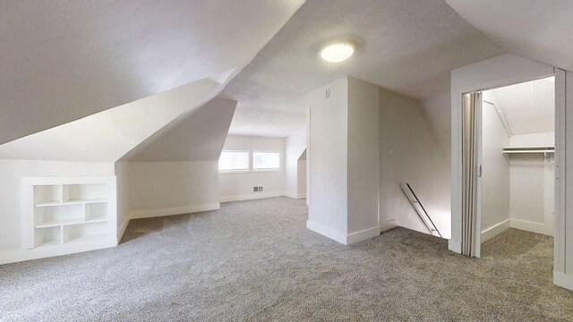 418 S Main St, Rankin, IL 60960 - bonus room with carpet, vaulted ceiling, and built in shelves
