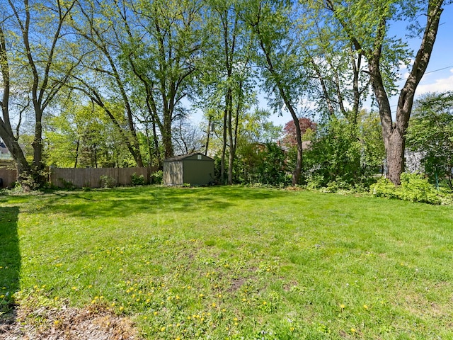 225 S Gladstone Ave, Aurora, IL 60506 - view of yard