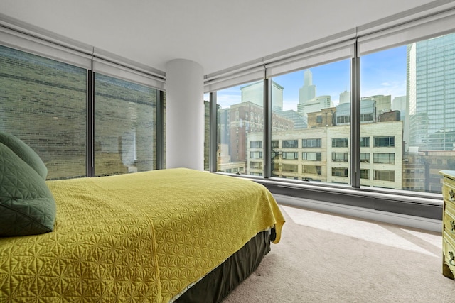 60 E Monroe St Unit 1604, Chicago, IL 60603 - bedroom featuring a city view, carpet, and expansive windows
