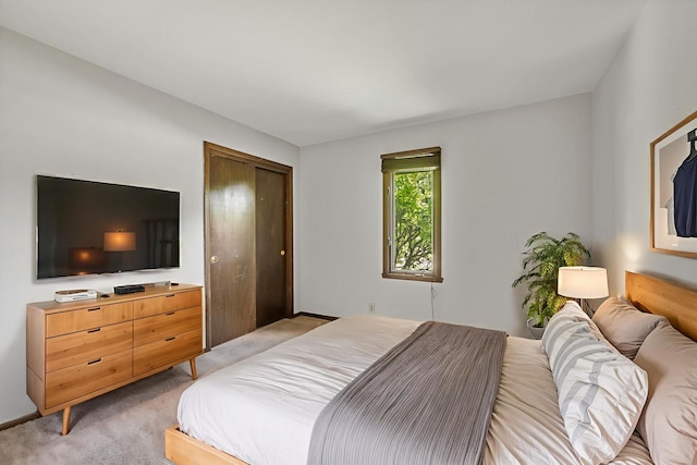 337 George St, Sycamore, IL 60178 - bedroom with light carpet and a closet
