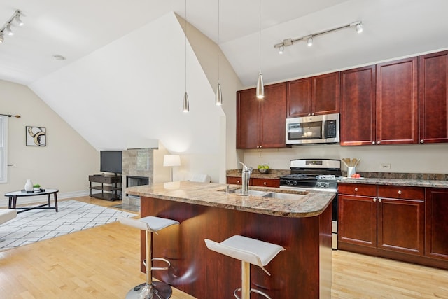 1325 W Wolfram St Unit 3, Chicago, IL 60657 - kitchen featuring stainless steel appliances, reddish brown cabinets, rail lighting, lofted ceiling, and light wood finished floors