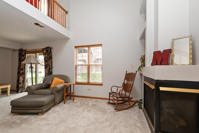 5318 W Dixie Dr Unit 10, Alsip, IL 60803 - sitting room with carpet floors, baseboards, and a towering ceiling
