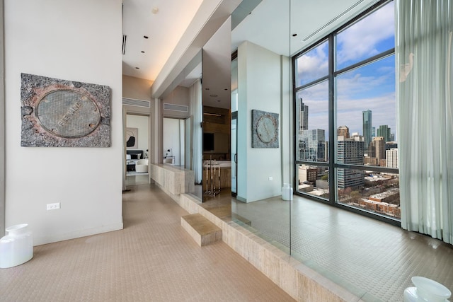 1530 S State St Unit 18A-B, Chicago, IL 60605 - hallway with expansive windows, baseboards, a high ceiling, and carpet