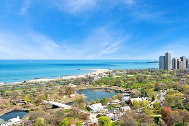 2020 N Lincoln Park W Unit 30L, Chicago, IL 60614 - view of property location with a large body of water