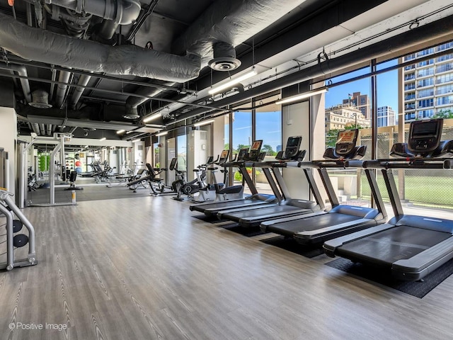 2020 N Lincoln Park W Unit 30L, Chicago, IL 60614 - gym featuring wood finished floors and a city view