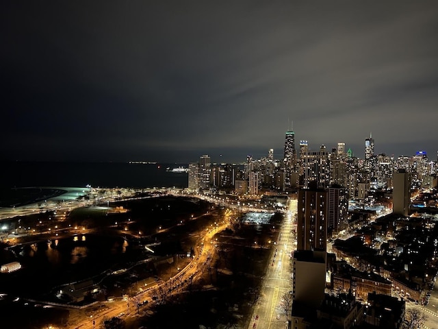 2020 N Lincoln Park W Unit 30L, Chicago, IL 60614 - city view featuring a view of city lights