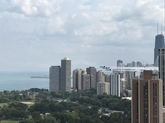2020 N Lincoln Park W Unit 30L, Chicago, IL 60614 - view of city featuring a large body of water