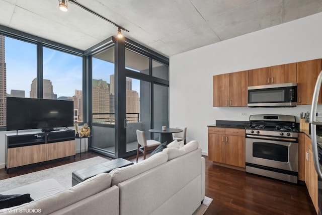 235 W Van Buren St Unit 3419, Chicago, IL 60607 - living room featuring dark wood finished floors, expansive windows, and track lighting