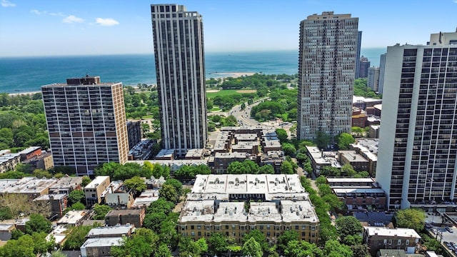 1705 N Crilly Ct Unit 2, Chicago, IL 60614 - view of urban area with a large body of water