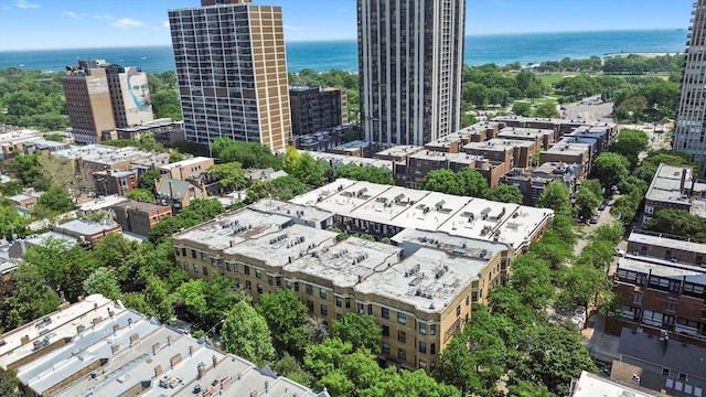 1705 N Crilly Ct Unit 2, Chicago, IL 60614 - view of urban area with a nearby body of water