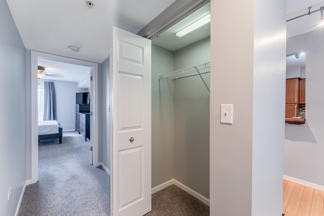 390 S Western Ave Unit 504, Des Plaines, IL 60016 - spacious closet featuring carpet floors