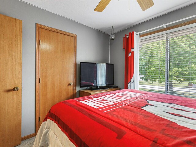 4306 Westridge Dr, Winnebago, IL 61088 - bedroom with carpet and a ceiling fan