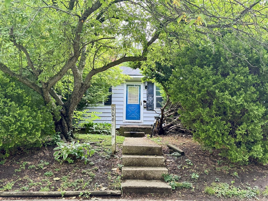 906 E Washington St, Urbana, IL 61801 - view of property hidden behind natural elements