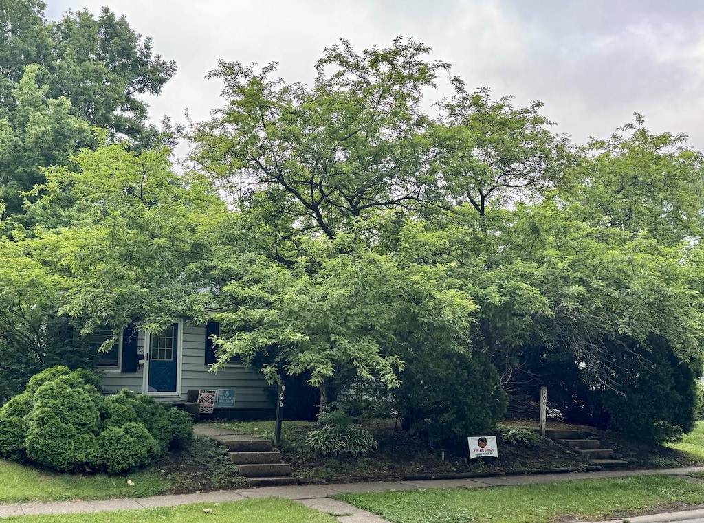 906 E Washington St, Urbana, IL 61801 - view of property hidden behind natural elements