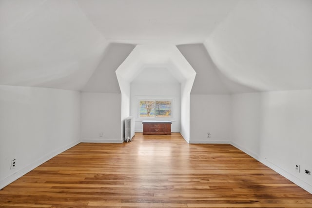 212 S Austin Blvd, Oak Park, IL 60304 - additional living space featuring radiator heating unit, light wood-style floors, and vaulted ceiling