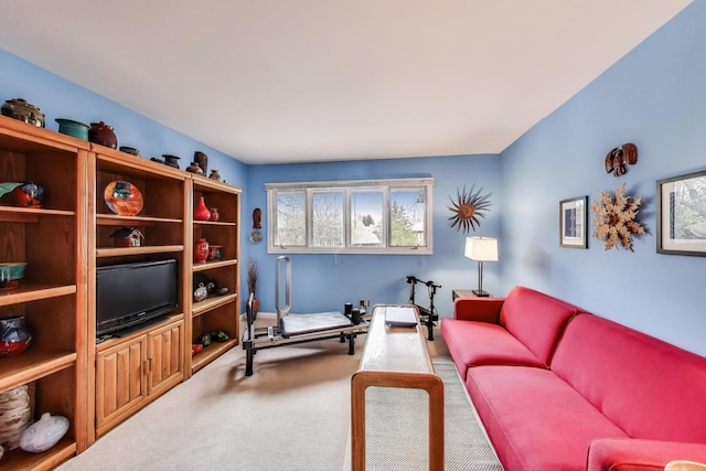 1226 Beau Dr, Park Ridge, IL 60068 - living room with carpet flooring